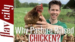 Why You Need To Buy Pasture Raised Eggs amp Chicken  Bobby On The Farm [upl. by Nauq]