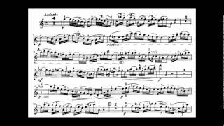 Bach JS violin concerto in A minor BWV 1041 [upl. by Dodd574]