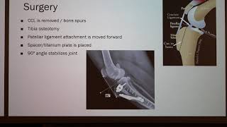 Tibial Tuberosity Advancement TTA Surgery in Dogs [upl. by Ahsetan]