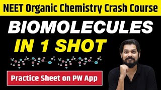 BIOMOLECULES in One Shot  All Concepts Tricks amp PYQs  Class 12  NEET [upl. by Enilaf]