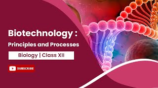 Principles and Processes  Biotechnology and its Principles  Biology  Class 12 [upl. by Petersen494]