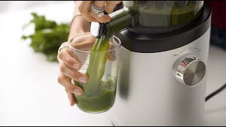 Hurom H101 Easy Clean Slow Juicer Celery Juice Recipe [upl. by Goldwin581]