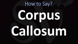 How to Pronounce Corpus Callosum CORRECTLY [upl. by Lawford]