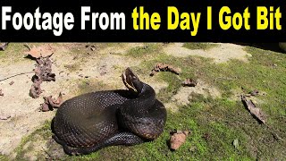 The Day I Got My 1st VENOMOUS SNAKEBITE Unseen Footage [upl. by Aiki]