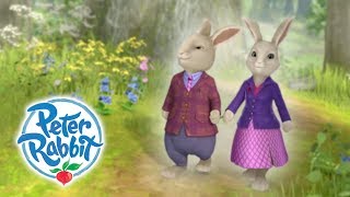 Peter Rabbit  Parents Day  Curious Bunnies  Cartoons for Kids [upl. by Anenahs983]