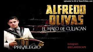 ALFREDO OLIVAS MIX CORRIDOS [upl. by Cheng773]