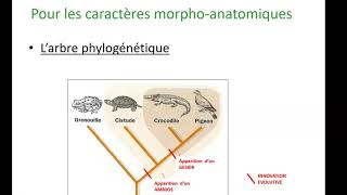 principes de phylogenie [upl. by Iat]