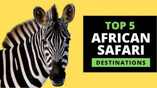 AFRICAN SAFARI DESTINATIONS  Top 5 Most Popular with prices [upl. by Ivana]