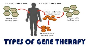 Germline  Tales from the Genome [upl. by Red769]