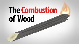 Science Spotlight The Combustion of Wood [upl. by Amimej]