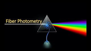 Fiber Photometry [upl. by Arbas973]