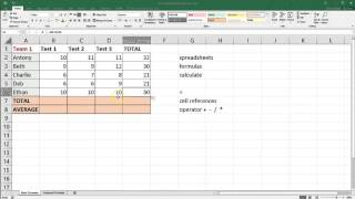 Spreadsheet Basics  Microsoft Excel [upl. by Airom]