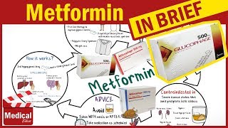 The Side Effects Of Metformin amp How To Avoid Them – Dr Berg [upl. by Ahsilrae992]