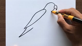 How to Draw a Parrot [upl. by Odrarebe]