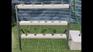 DIY Hydroponics  Easy Way To Build Your Own Hydroponic System At Home [upl. by Araht]