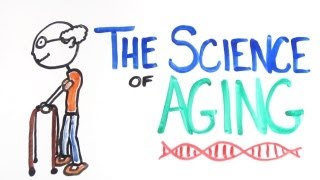 The Science of Aging [upl. by Eeliab]