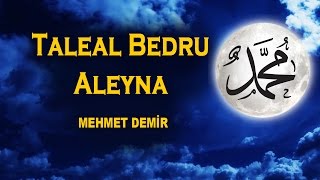 Taleal Bedru Aleyna 2017 Ay Doğdu Üzerimize Veda Tepelerinden Mehmet Demir [upl. by Anesuza]