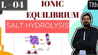 Ionic Equilibrium । Class 11 L4 I Salt hydrolysis [upl. by Stedt]