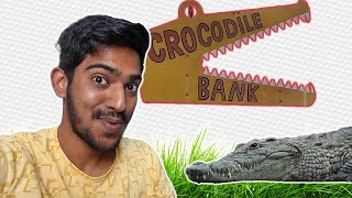 CoolSandBoy goes to Crocodile Park [upl. by Eimyaj]