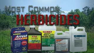 Five Most Common Food Plot Herbicides [upl. by Ydnik]