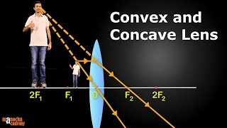 Convex and Concave Lenses [upl. by Tobey]