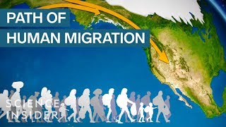 Map Shows How Humans Migrated Across The Globe [upl. by Cirtap]