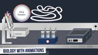 Southern Blot Method  Animated Video [upl. by Job]