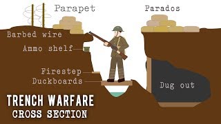 Trench Systems Cross Section [upl. by Htennek]