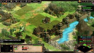 Age of Empires II  DE Campaigns  Bayinnaung  1 The Burmese Tigers [upl. by Attenauq]