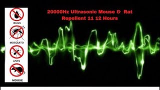 Ultrasonic Mouse and Rat Repellent 12 Hours  20000Hz  No ads [upl. by Imhskal]