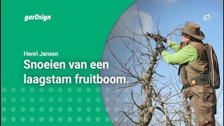 Laagstam fruitbomen snoeien appelboom [upl. by Nolyd360]