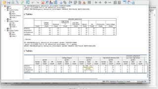 Lesson 7 Custom Tables in SPSS [upl. by Sweyn]