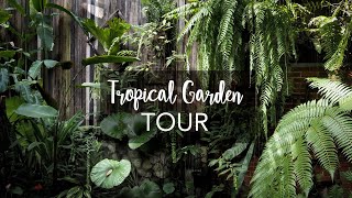 Tropical Garden Tour with Exotic Tropical Plants with plant names [upl. by Belamy822]