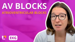 Atrioventricular Blocks AV Blocks  EKG Interpretation  LevelUpRN [upl. by Islehc959]