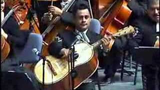 VIOLIN HUAPANGO MARIACHI VARGAS DE TECALITLAN [upl. by Enialem]