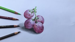 How to draw grapes in color pencils  realistic grapes drawing  fruit drawing [upl. by Nnairrehs]