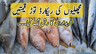 Karachi fishery rates today  Karachi fish market  fishery karachi [upl. by Hoskinson985]