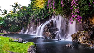 Relaxing Zen Music with Water Sounds • Peaceful Ambience for Spa Yoga and Relaxation [upl. by Adnat706]