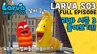 🆂🅿🅴🅲🅸🅰🅻▶LARVA S03  라바 시즌 3  FULL Episode  시간순삭 뉴요커 레드와 옐로우의 길거리 생활기  케이블BOX [upl. by Kcirdle]