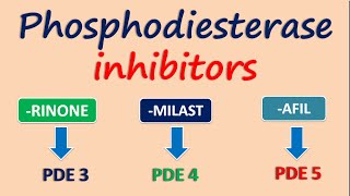 Enzymologie  Inhibiteurs compétitifs [upl. by Aillemac]