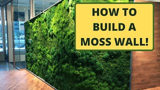 How to Make a Moss Wall  Use PreMade Moss Panels [upl. by Eellac]