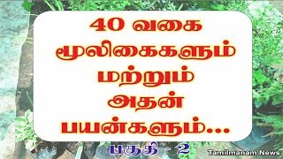 Herbs and their uses in tamil  40 herbal plants and their uses Part 2 [upl. by Treboh]