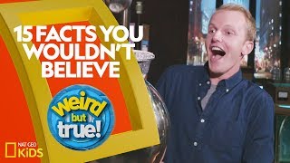 15 Facts You Wouldn’t Believe  Weirdest Bestest Truest [upl. by Buck]