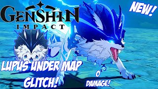 Genshin Impact UNDER MAP LUPUS FIGHT GLITCH FIGHT WO TAKING DAMAGE [upl. by Barraza291]