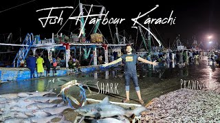 Fish Harbour Karachi  Expert Insider Information  Fish Bidding  JNTV Vlog Episode  07 [upl. by Othilie]