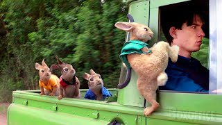 A Daring Rescue  Peter Rabbit  Movie Scene [upl. by Ahserb772]