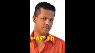 Geremew Asefa Selam Nesh Ethiopian Music [upl. by Faline965]