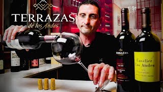 Terrazas de los Andes Malbec  Argentina Wine Review [upl. by Ias989]