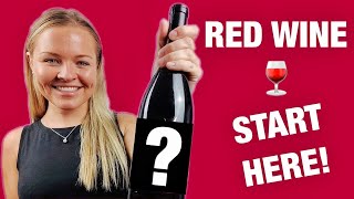 Pinot Noir  Best Red Wine for Beginners [upl. by Hapte5]