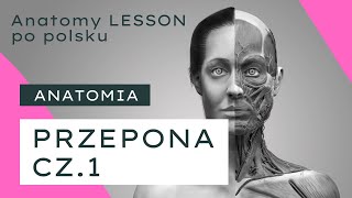 ANATOMY LESSON po polsku  6 Przepona cz1  anatomia [upl. by Yenhpad]